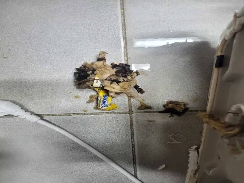 분당 배관 이물질 제거 사례 6